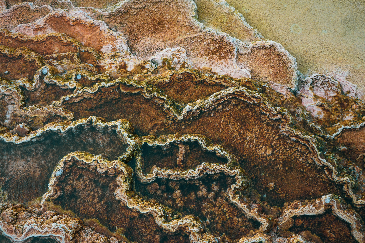 Brown and Beige Abstract Painting